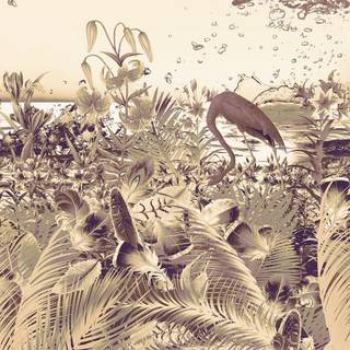 Warm nature wallpaper