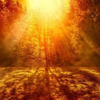 Warm nature wallpaper