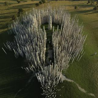 28 Years Later: The Bone Temple wallpaper