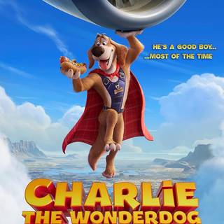 Charlie the Wonderdog wallpaper