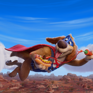 Charlie the Wonderdog wallpaper