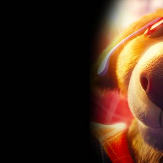 Charlie the Wonderdog wallpaper