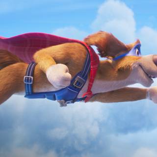 Charlie the Wonderdog wallpaper