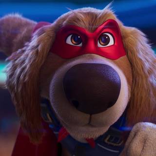 Charlie the Wonderdog wallpaper