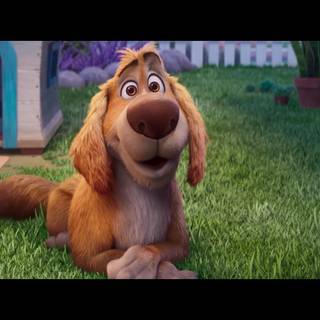 Charlie the Wonderdog wallpaper