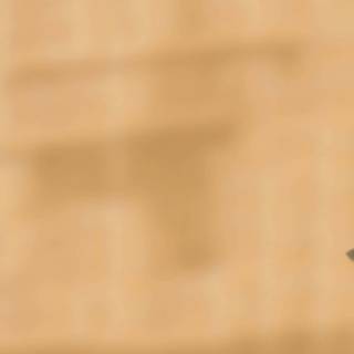 Funny cats computer wallpaper