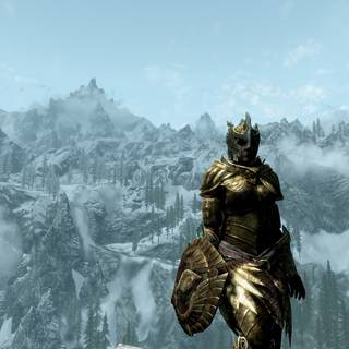 Woman knight wallpaper