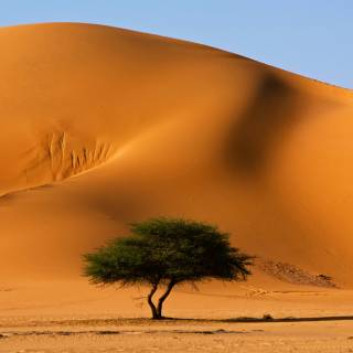 Western Sahara wallpaper
