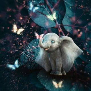 Baby Drill wallpaper