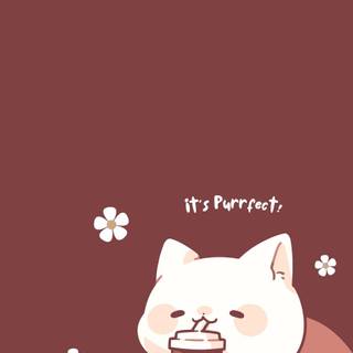 Cute funny cats wallpaper