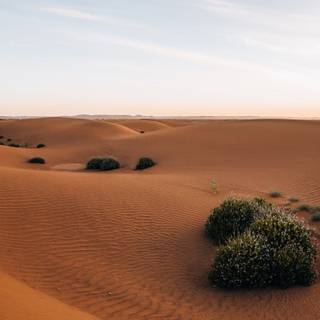 Western Sahara wallpaper