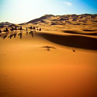 Western Sahara wallpaper