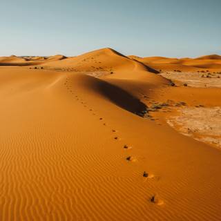 Western Sahara wallpaper