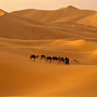 Western Sahara wallpaper