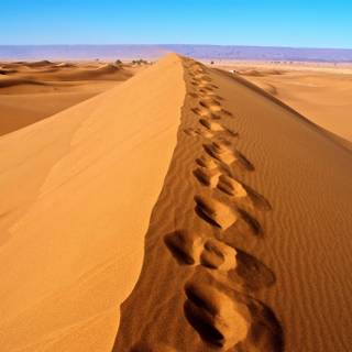 Western Sahara wallpaper