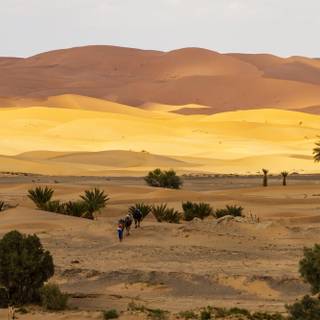 Western Sahara wallpaper