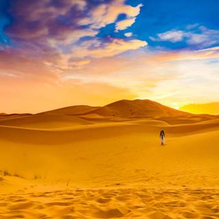 Western Sahara wallpaper