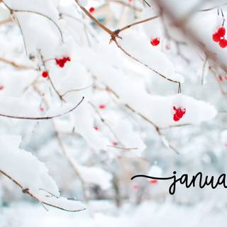 January cute wallpaper