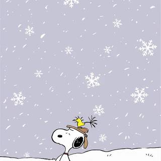 January cute wallpaper