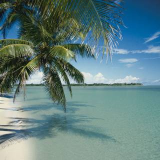 Key Largo wallpaper