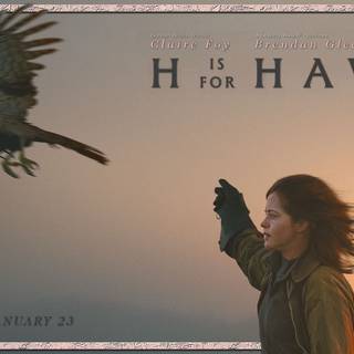 H is for Hawk wallpaper