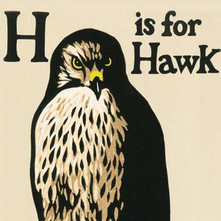 H is for Hawk wallpaper