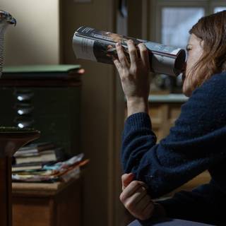 H is for Hawk wallpaper