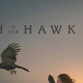 H is for Hawk wallpaper