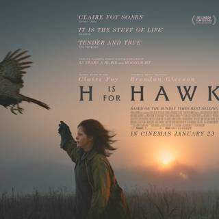 H is for Hawk wallpaper