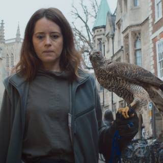 H is for Hawk wallpaper