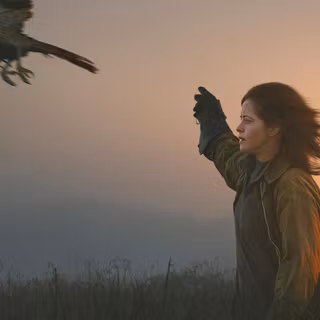 H is for Hawk wallpaper