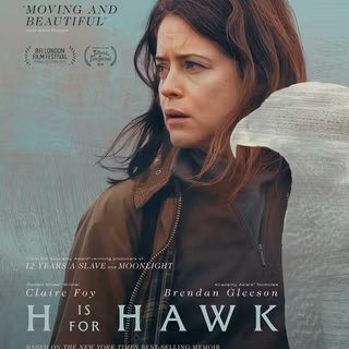 H is for Hawk wallpaper