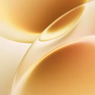 Vivo S50 Pro Mini wallpaper