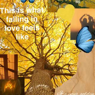 Jvke Golden Hour wallpaper