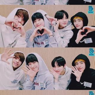 Sunoo and Sunghoon wallpaper