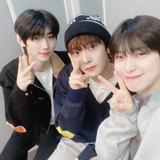 Sunoo and Sunghoon wallpaper