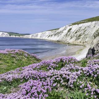 Isle Of Wight wallpaper