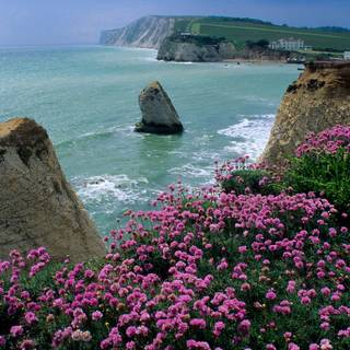 Isle Of Wight wallpaper