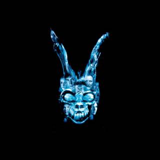 Donnie Darko wallpaper