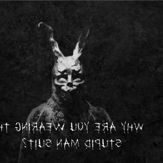 Donnie Darko wallpaper