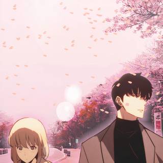 Sung Jinwoo and Cha Hae-In wallpaper