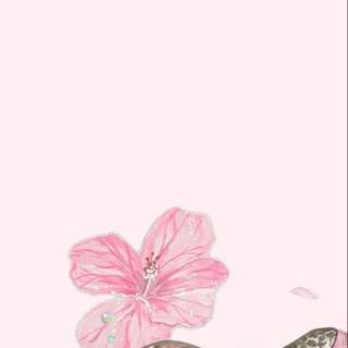 Pink turtle with flowers wallpaper