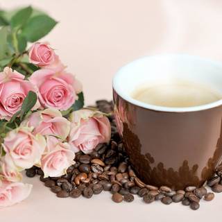 Pink beans and flowers wallpaper