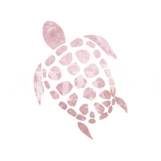 Pink turtle with flowers wallpaper