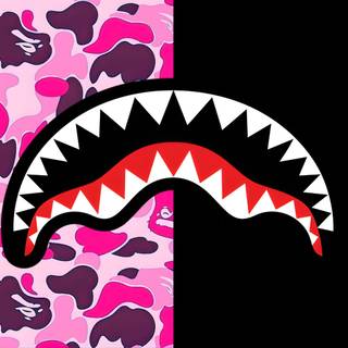 Sprayground backpacks wallpaper