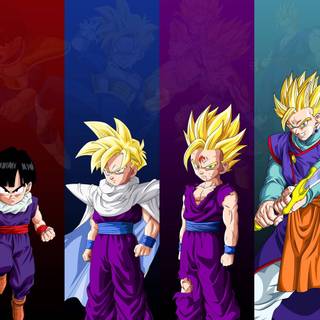 Gohan cape and glasses wallpaper