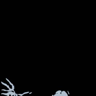 Nonchalant wallpaper