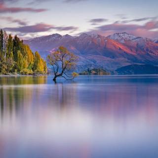 New Zealand landscape wallpaper