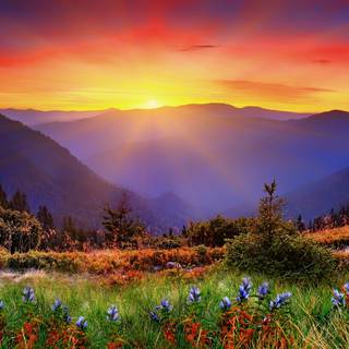 New Zealand landscape wallpaper