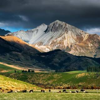 New Zealand landscape wallpaper